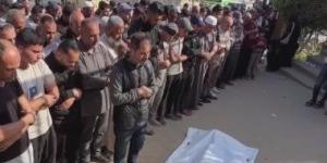 الفاتيكان يدعو إلى وقف القصف الإسرائيلي على غزة