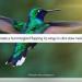 Bing يُطلق مولد فيديو مجاني مدعومًا بنموذج Sora من OpenAI