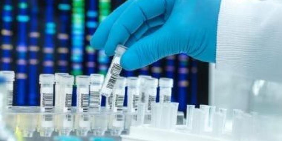 طوق النجاة للحالات الحرجة ..ماذا تعرف عن اختبارات الدم الصناعى فى اليابان