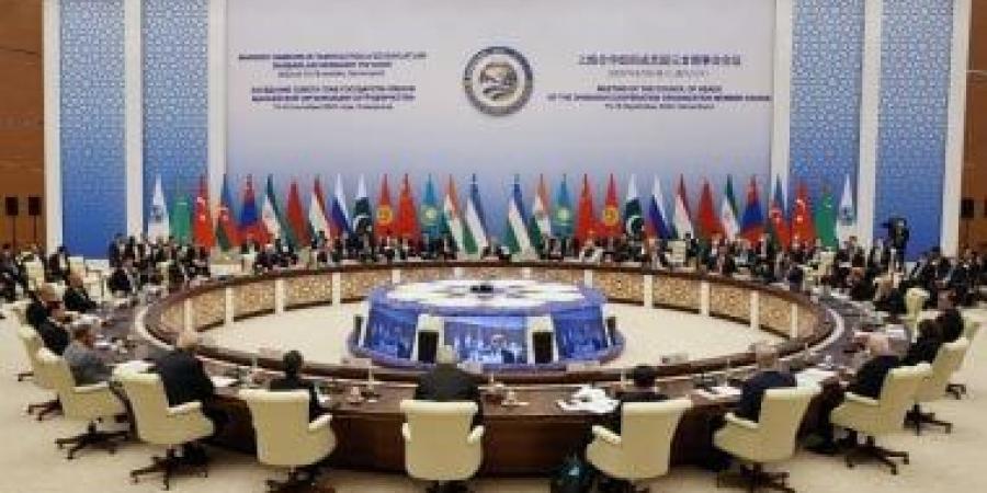 الصين تدعو إلى تعزيز التعاون المالي بين الدول الأعضاء في منظمة شانغهاي للتعاون